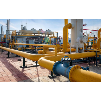 What are the valves commonly used in UAE petrochemical plants