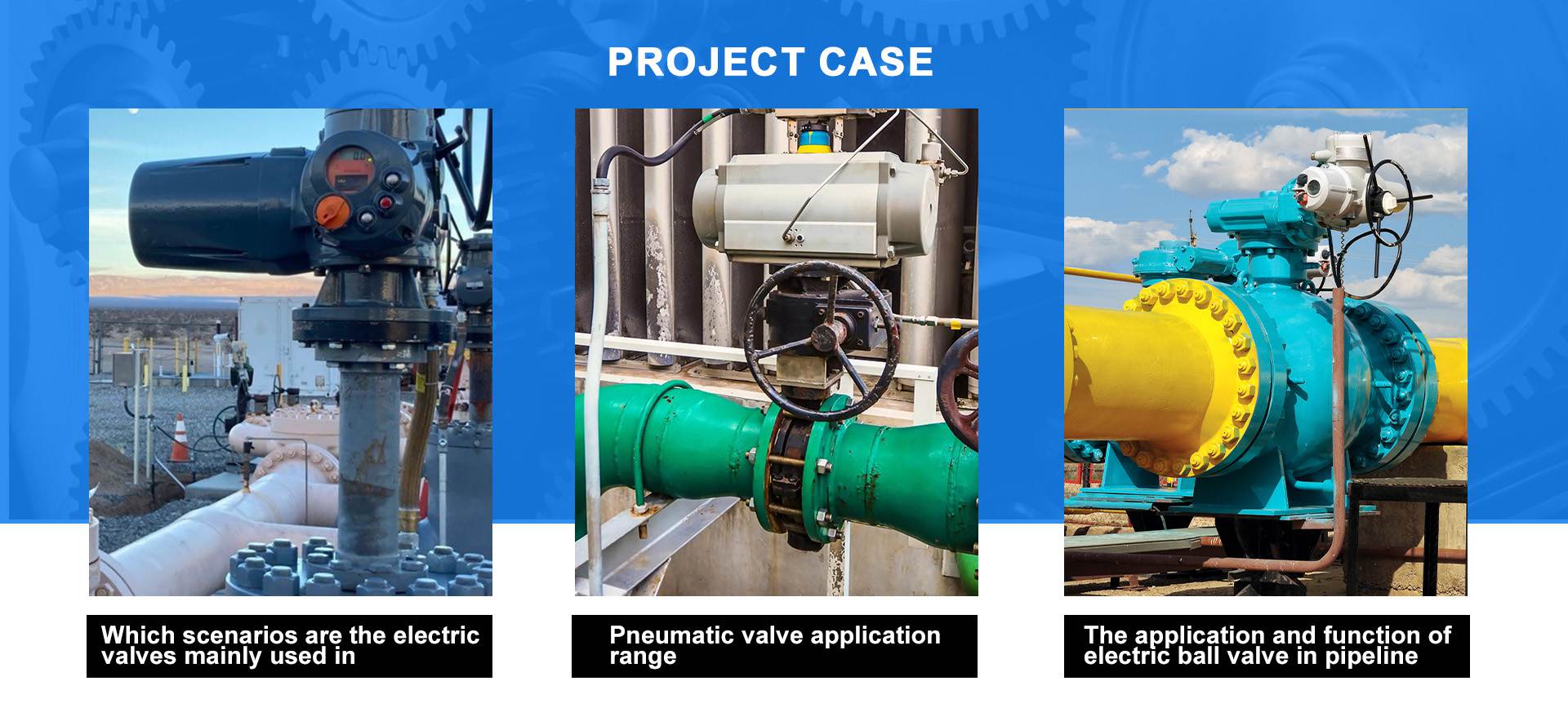 project case
