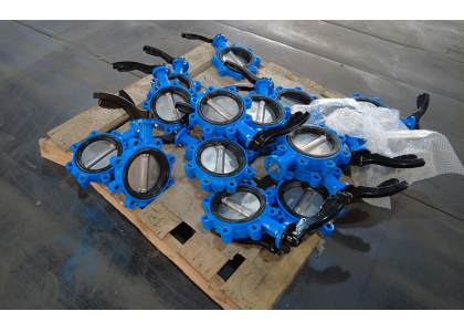 What is a butterfly valve