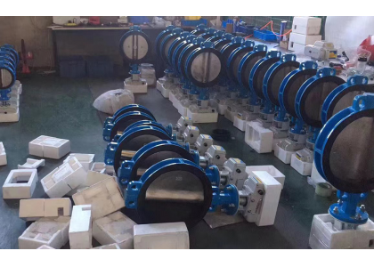 Valves are commonly used as sealing materials
