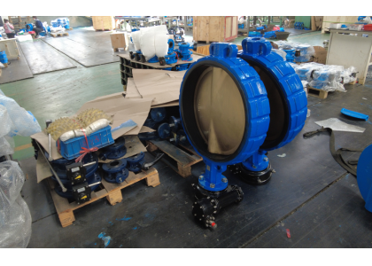 Butterfly valve type structure and principle