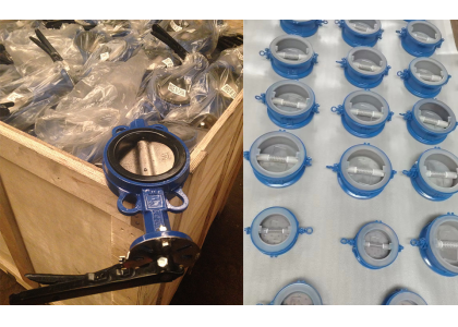 Difference between butterfly valve and check valve