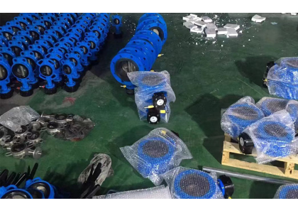 What is a soft-back butterfly valve