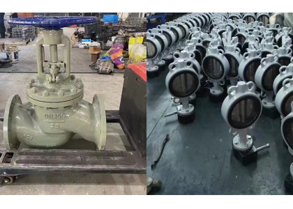 Butterfly valve, globe valve which is suitable for regulating flow