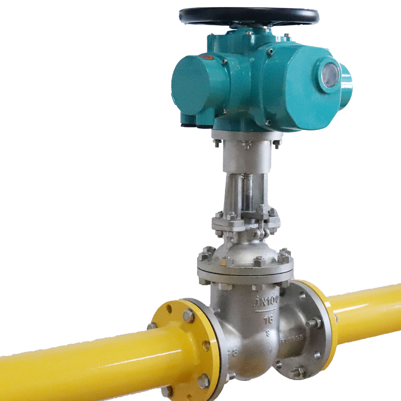 Motorized gate valve