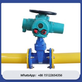 Flange Electric Gate Valve Stainless Steel JIS 10K Flange On Off Type Multi Turn Motorized Actuator Gate Valve